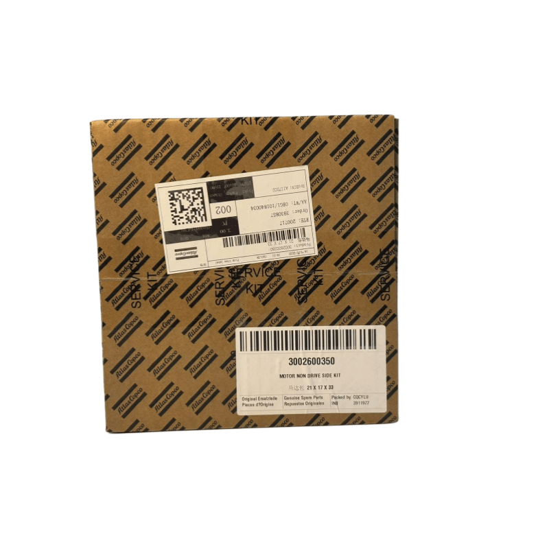 Оригінальний 3002600350 Atlas Copco Motor Non Drive Side для введених гвинтових компресорів